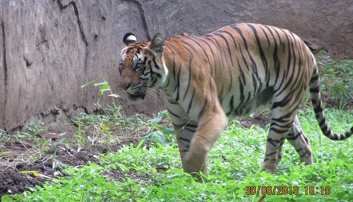 Rajiv Gandhi Zoological Park